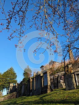 Mausoleums in the winter sun, necropolis, Glasgow Scotland