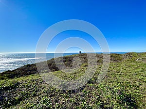 Maverick's Beach in California