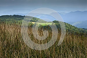 Max Patch, Appalachian Trail, Pisgah NF photo