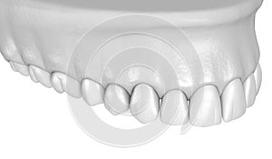 Maxillary human gum and teeth in white style. Medically accurate tooth illustration