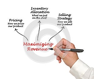 Maximizing Revenue photo