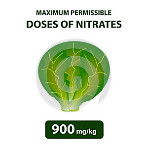 The maximum allowable dose of nitrates in cabbage. Nitrates in vegetables and fruits. Infographics. Vector illustration