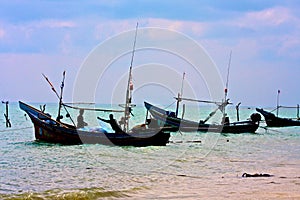 Maximum Muslims in the fishing village of Samui