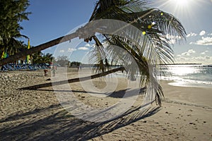 Maxwell beach, Barbados