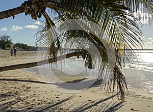 Maxwell beach, Barbados