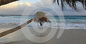 Maxwell beach Barbados