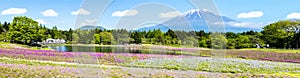 May 12, 2016 : The Fuji with the field of pink moss at Shibazakura festival, Yamanashi, Japan