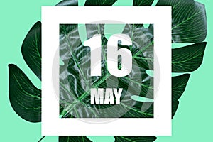 may 16th. Day 16 of month,Date text in white frame against tropical monstera leaf on green background spring month, day