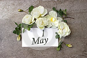 May 1st . Day 1 of month, Calendar date. White roses border on pastel grey background with calendar date. Spring month, day of the