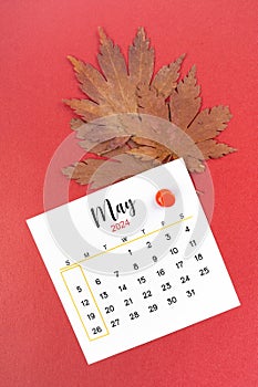 May 2024 calendar page and autumn maple leaf with thumbtack