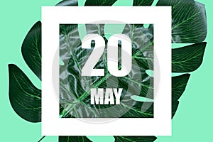 may 20th. Day 20 of month,Date text in white frame against tropical monstera leaf on green background spring month, day