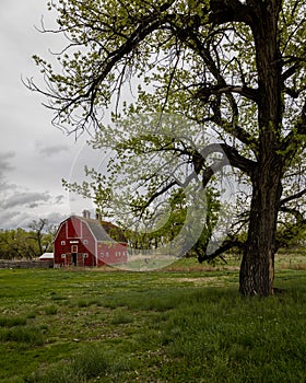 MAY 21 2019, USA -  Red Barn along Route 2 near Fort Benton, Montana