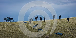 MAY 23 2019, USA - - Horse sculptor on Montana ranch