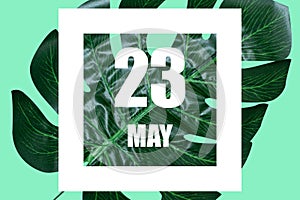 may 23rd. Day 23 of month,Date text in white frame against tropical monstera leaf on green background spring month, day
