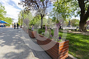 May 25, 2021 Berehove city, Transcarpathia, Ukraine. Central street of Beregovo and The building is named after Ferenc Rakoczy Tra