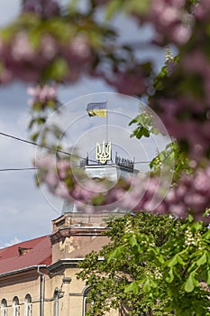 May 25, 2021 Berehove city, Transcarpathia, Ukraine. Ukrainian flag and coat of arms on a house on Tomasz Ese Street in Beregovo,