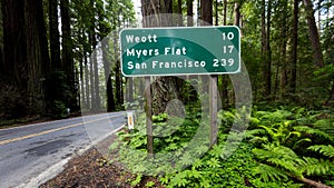 MAY 31, 2019, N CALIFORNIA, USA - Avenue of Giants and giant redwood forest along Route 101 in N California - to San Francisco