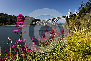 MAY 31, GOLD BEACH, OR, USA - Isaac Lee Patterson Bridge, also known as the Rogue River Bridge Gold Beach, Oregon