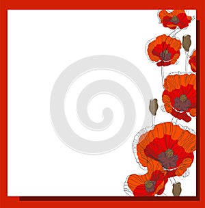 May 9. Banner for Victory Day. Symbolic red poppy on a white background. Vector illustration. Victory day poster. Poppy flower