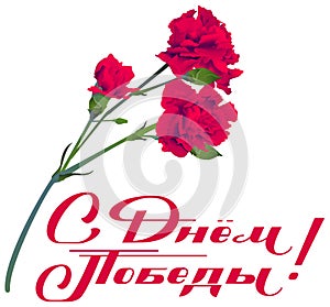 May 9 Victory Day translation from Russian. Red carnation flowers bouquet symbol memory of veterans
