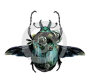 May bug scarab with wings top view and scenery of green plants and flowers