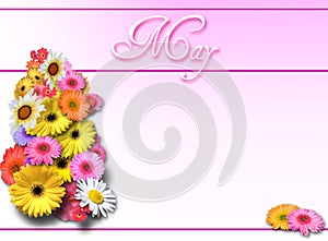 May Day - Pink