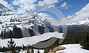 Banff National Park Landscape Panorama of Frozen Peyto Lake in Canadian Rocky Mountains from Bow Summit, Alberta, Canada