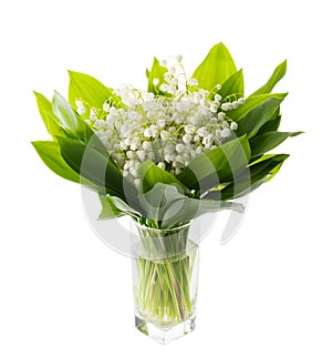 May flowers. Bouqet of lily of the valley flowers on white background with clipping path