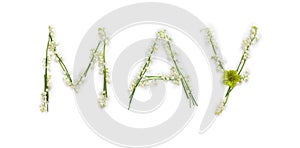 May lettering text from of flowers Lily of the valley ( Convallaria majalis, May bells, may-lily ), hellebores on white