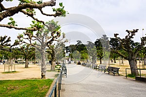 May 6, 2018 San Francisco / CA / USA - Landscape in Golden Gate Park; California Academy of Sciences and Sutro Tower visible in