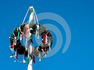 May tree in spring bavaria