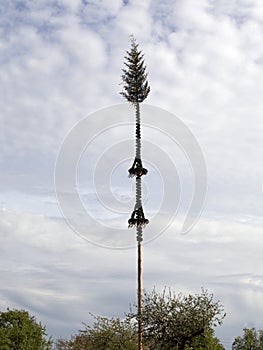 May tree 1 May tradition in germany
