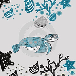 May 23 - World Turtle Day