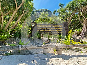 Maya Bay beach on Phi Phi island, Krabi, Thailand. landmark, destination Southeast Asia Travel, vacation and holiday concept