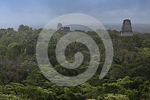 Maya buildings in the jungle in Tikal, Guatemala