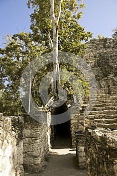 Maya Coba ruins