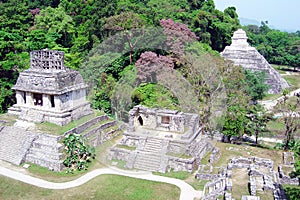 Maya palenque
