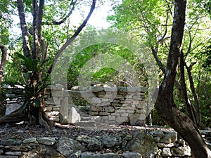 Maya pyramid temple ruins in Yucatan, Mexico photo