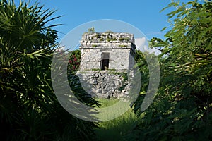 Maya ruins behind tropical bush with blue sky, Tulum, Mexico