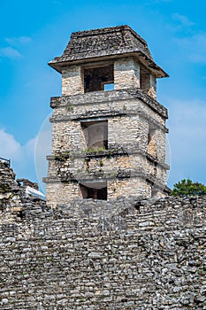 Maya Ruins in Palenque