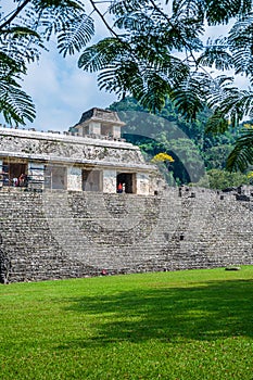 Maya Ruins in Palenque