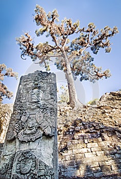 Maya Statue at Copan
