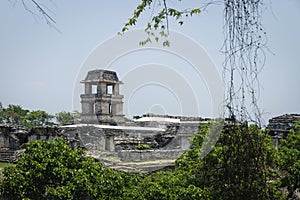 Maya temple ruins with palace and observation tower surrounded by ivy, Palanque, Chiapas, Mexico