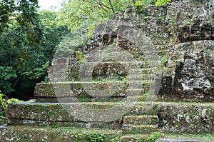 Maya Temple In Tropical Forest