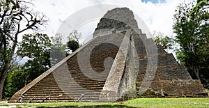 Maya Temple V in Tikal photo