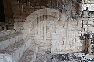 Mayan Ceremonial altar at Ek Balam (black jaguar) in Yucatan Pen