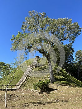 Mayan Constructed Hill at Altun Ha Archaeological Site in Belize