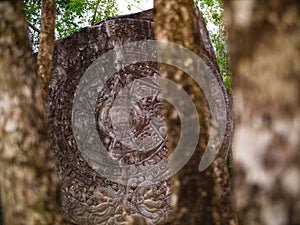 mayan hieroglypics in a stone slab in chankanaab beach adventure park in san miguel de cozumel, quintana roo, mexico photo