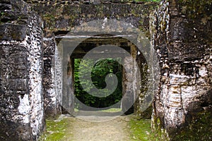 Mayan piramide gate in Tikal Guatemala photo