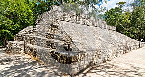 Mayan Pyramid at Coba in Mexico